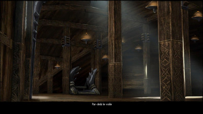 artwork Guild Wars 2, par-del� le voile (2)