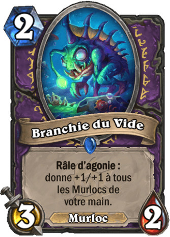 hearthstone, carte Branchie du Vide