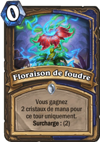 hearthstone, carte Floraison de foudre